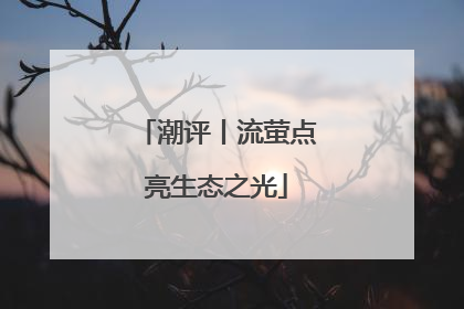 潮评丨流萤点亮生态之光