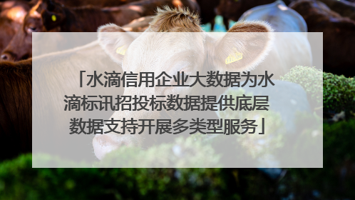 水滴信用企业大数据为水滴标讯招投标数据提供底层数据支持开展多类型服务