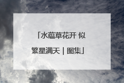 水蕴草花开 似繁星满天｜图集