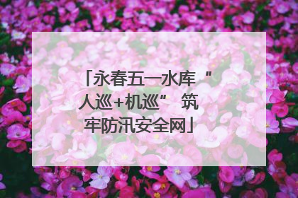永春五一水库“人巡+机巡” 筑牢防汛安全网