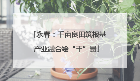 永春：千亩良田筑根基 产业融合绘“丰”景