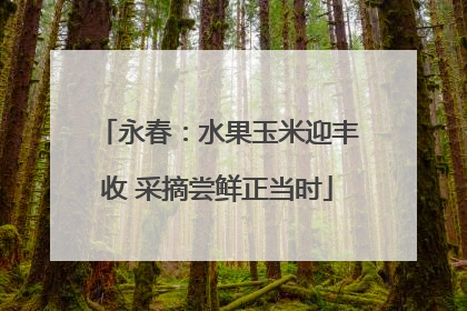 永春：水果玉米迎丰收 采摘尝鲜正当时