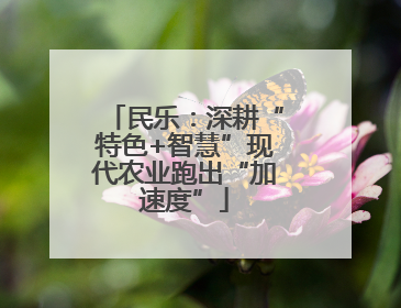 民乐：深耕“特色+智慧”现代农业跑出“加速度”
