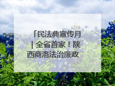 民法典宣传月｜全省首家！陕西商洛法治廉政教育基地“以案说纪”润人心
