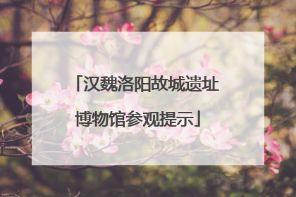 汉魏洛阳故城遗址博物馆参观提示