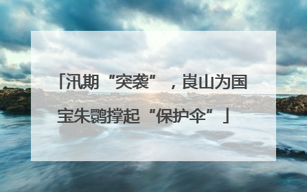 汛期“突袭”，崀山为国宝朱鹮撑起“保护伞”