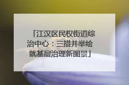 江汉区民权街道综治中心：三措并举绘就基层治理新图景