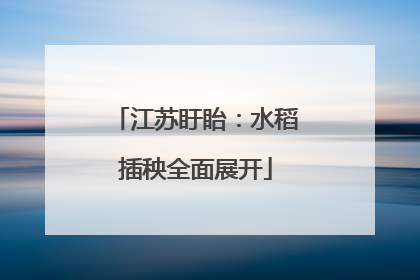 江苏盱眙：水稻插秧全面展开