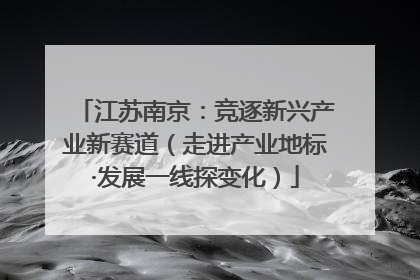 江苏南京：竞逐新兴产业新赛道（走进产业地标·发展一线探变化）