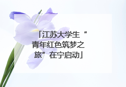 江苏大学生“青年红色筑梦之旅”在宁启动