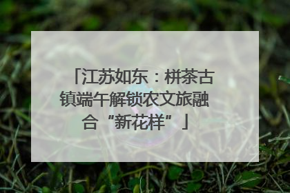 江苏如东：栟茶古镇端午解锁农文旅融合“新花样”