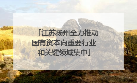 江苏扬州全力推动国有资本向重要行业和关键领域集中