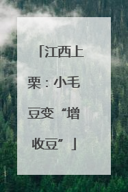 江西上栗：小毛豆变“增收豆”