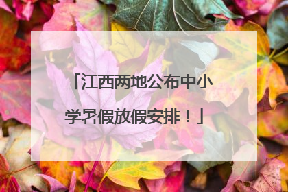 江西两地公布中小学暑假放假安排！