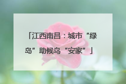 江西南昌：城市“绿岛”助候鸟“安家”