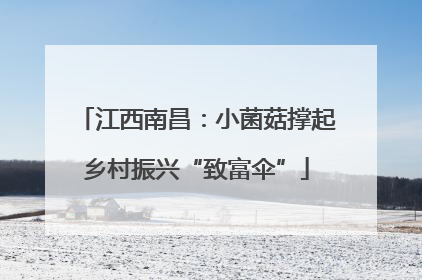江西南昌：小菌菇撑起乡村振兴“致富伞”
