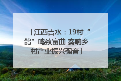 江西吉水：19村“鸽”鸣致富曲 奏响乡村产业振兴强音