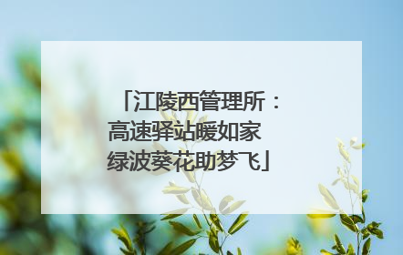 江陵西管理所：高速驿站暖如家 绿波葵花助梦飞