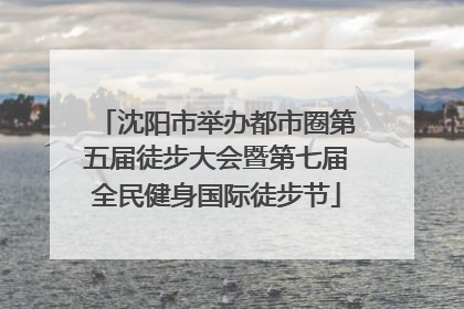 沈阳市举办都市圈第五届徒步大会暨第七届全民健身国际徒步节