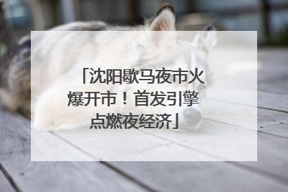 沈阳歇马夜市火爆开市！首发引擎点燃夜经济