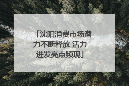 沈阳消费市场潜力不断释放 活力迸发亮点频现