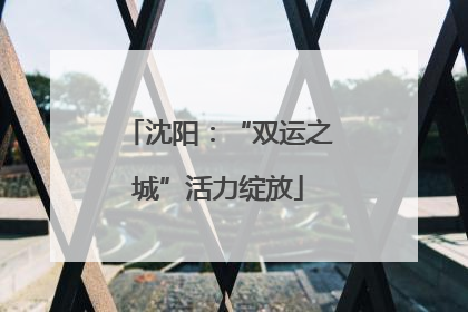 沈阳：“双运之城”活力绽放