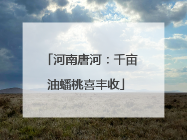 河南唐河：千亩油蟠桃喜丰收