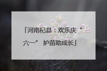 河南杞县：欢乐庆“六一” 护苗助成长