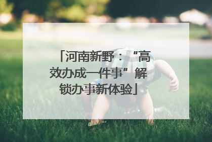 河南新野：“高效办成一件事”解锁办事新体验