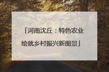河南沈丘：特色农业绘就乡村振兴新图景