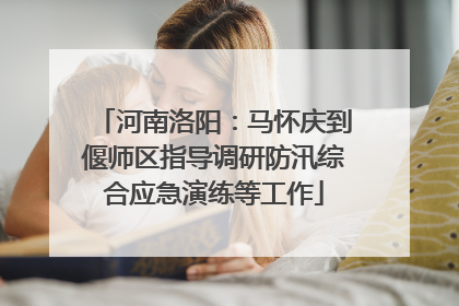 河南洛阳：马怀庆到偃师区指导调研防汛综合应急演练等工作
