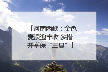 河南西峡：金色麦浪迎丰收 多措并举保“三夏”