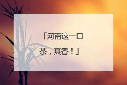 河南这一口茶，真香！