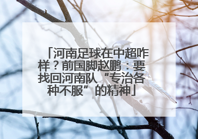河南足球在中超咋样？前国脚赵鹏：要找回河南队“专治各种不服”的精神