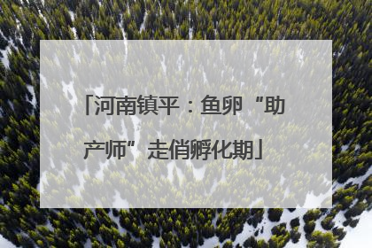 河南镇平：鱼卵“助产师”走俏孵化期