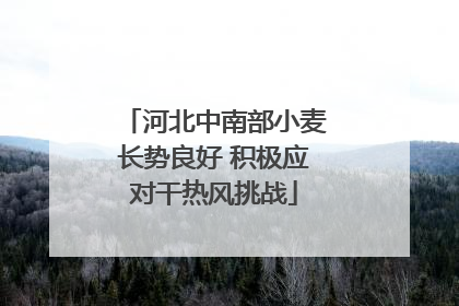 河北中南部小麦长势良好 积极应对干热风挑战