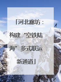 河北廊坊：构建“空铁陆海”多式联运新通道