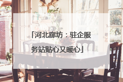 河北廊坊：驻企服务站贴心又暖心