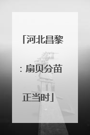 河北昌黎：扇贝分苗正当时