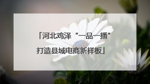 河北鸡泽“一品一播”打造县域电商新样板