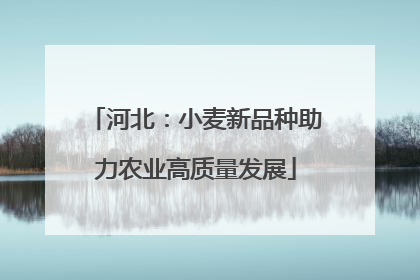 河北：小麦新品种助力农业高质量发展