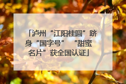 泸州“江阳桂圆”跻身“国字号” “甜蜜名片”获全国认证