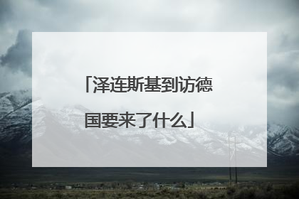 泽连斯基到访德国要来了什么