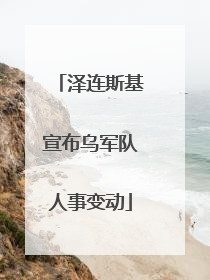 泽连斯基宣布乌军队人事变动