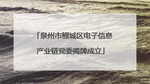 泉州市鲤城区电子信息产业链党委揭牌成立