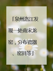 泉州洛江发现一处南宋龙窑，分布瓷器、窑具等