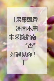 泉果飘香｜济南本周末采摘指南——“杏”好遇见你！