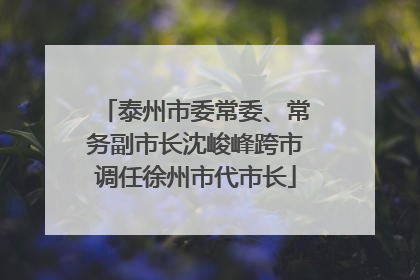 泰州市委常委、常务副市长沈峻峰跨市调任徐州市代市长