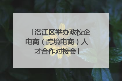 洛江区举办政校企电商（跨境电商）人才合作对接会