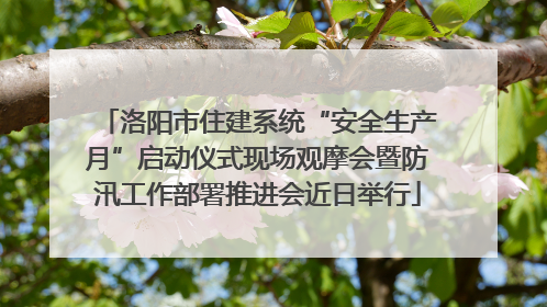 洛阳市住建系统“安全生产月”启动仪式现场观摩会暨防汛工作部署推进会近日举行